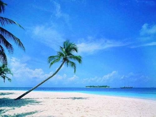 Sanya Tropical Coast Hotel Экстерьер фото
