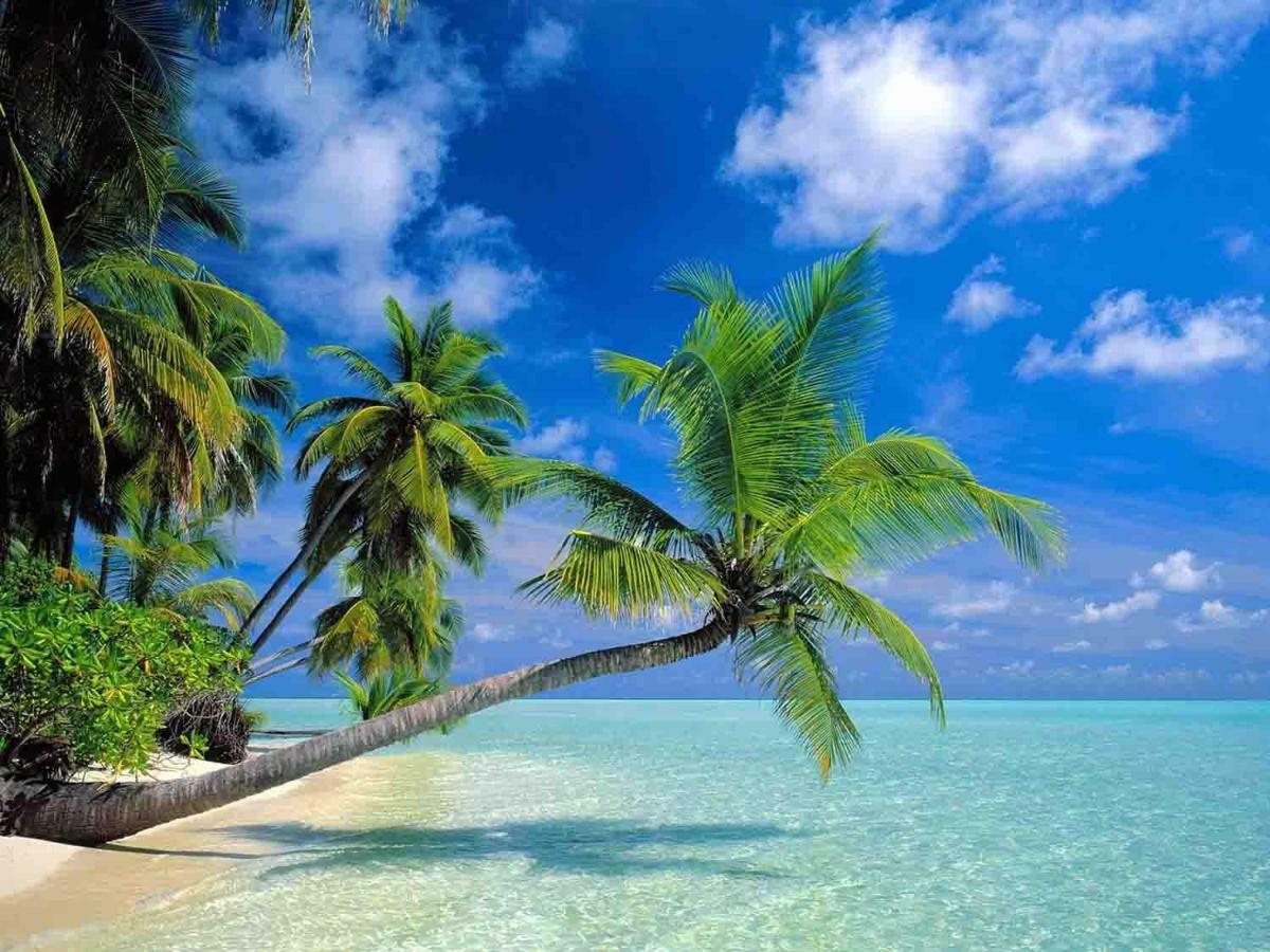 Sanya Tropical Coast Hotel Экстерьер фото