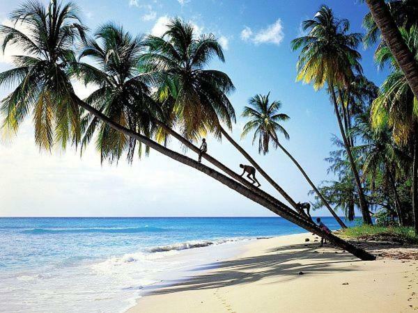 Sanya Tropical Coast Hotel Экстерьер фото